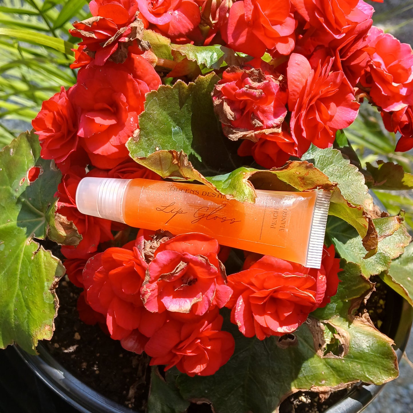 Peach Mango Lip Gloss